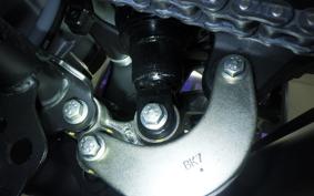 YAMAHA XSR155