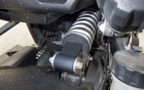 KAWASAKI NINJA 1000SX 2024 ZXT02K