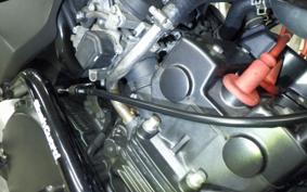 HONDA HORNET 250 MC31