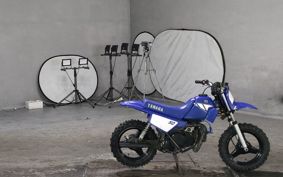 YAMAHA PW50 3PT