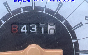SUZUKI ADDRESS V50