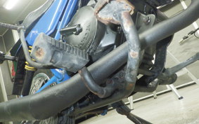 HONDA RACOON