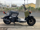 Фото Honda ZUMAR 2009 с японского аукциона