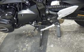 KAWASAKI Z900RS 2024 ZR900K