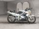 Фото Kawasaki ZZ-R250 с японского аукциона