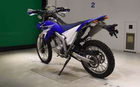 YAMAHA WR250R DG15J