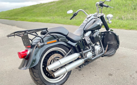 HARLEY FLSTFB 2009 JN5