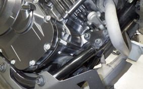SUZUKI V-STROM 250 A 2025