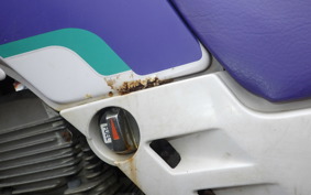 YAMAHA SEROW 225 W 2022 4JG