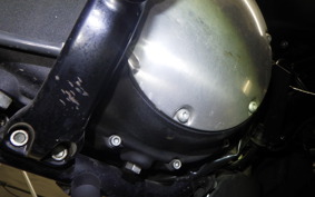 HARLEY XL883N 2020