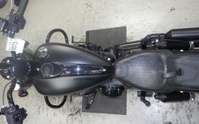 INDIAN Chief Dark Horse bobber 2021