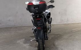 TRIUMPH TIGER 1200GT PRO 2025 TAP22V