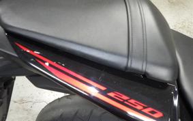 YAMAHA YZF-R25 2020 RG10J