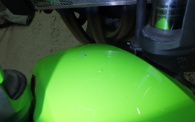 KAWASAKI ZRX1200 D 2009 ZRT20D