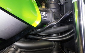 KAWASAKI ZRX1200 D 2011 ZRT20D