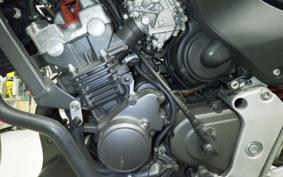 HONDA HORNET 250 MC31