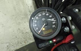 HARLEY XL1200NS 2020