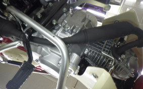 HONDA C110 SUPER CUB 1995 JA59