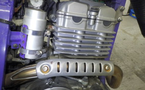 YAMAHA TT250R 2009 4GY