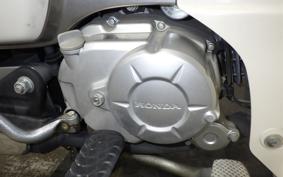 HONDA C50 SUPER CUB 2023 AA09