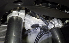 KAWASAKI NINJA 1100SX 2025 ZXT10H