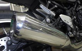 KAWASAKI Z900RS 2019 ZR900C