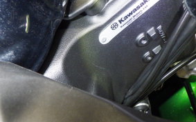 KAWASAKI NINJA 1000SX 2024 ZXT02K
