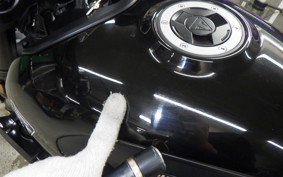 TRIUMPH TRIDENT 660 2025