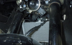 YAMAHA YZF R-3 2025 RH25J
