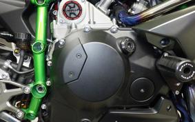 KAWASAKI NINJA H2 CARBON 2021 ZXT02J