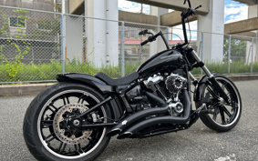 HARLEY FXBRS 2019 YHK
