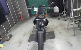 KAWASAKI KLX250D TRACKER 2021 LX250E