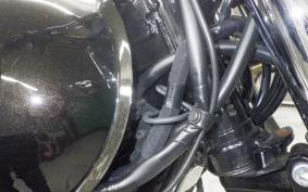 KAWASAKI W800 2025 EJ800E