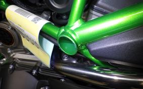KAWASAKI NINJA H2 CARBON 2021 ZXT02J