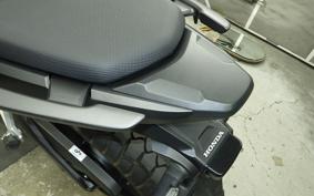 HONDA NX400 2024 NC65