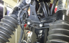 KAWASAKI W800 2022 EJ800E
