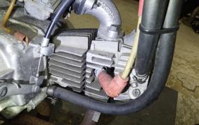 HONDA GORILLA 2025 Z50J