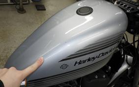 HARLEY XL1200NS 2020