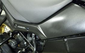 SUZUKI DL650 ( V-Strom 650 ) XTA 2020 C733A