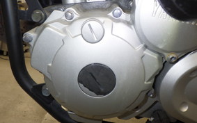 YAMAHA TRICKER 2024 DG10J