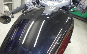 YAMAHA VIRAGO 250 2023 3DM