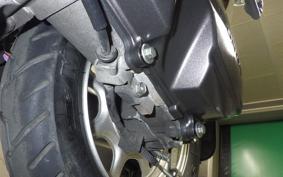 HONDA GIORNO 3 AF77