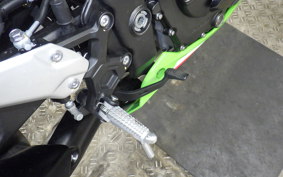 KAWASAKI ZX-4RR 2023 ZX400P