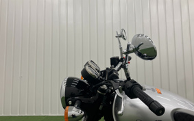 BENELLI IN PE REAR -RE400 2022 P09