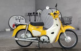 HONDA SUPER CUB50 AA09