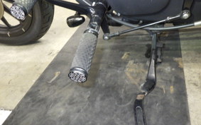 HARLEY XL883N 2009
