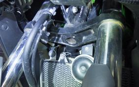 KAWASAKI VERSYS 250 A LE250D