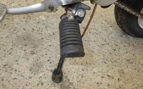 HONDA MONKEY Z50J