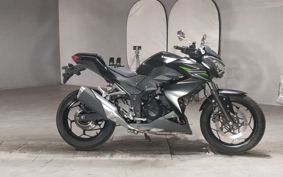 KAWASAKI Z250 ER250C