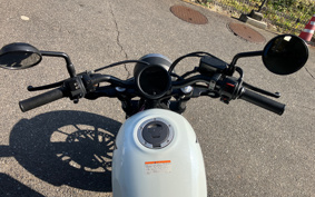 HONDA REBEL MC49